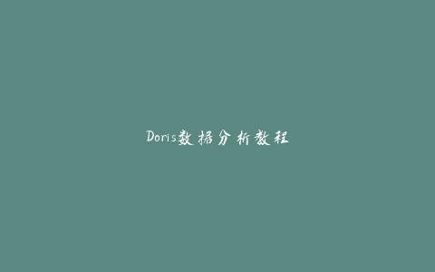 Doris数据分析教程-天时网