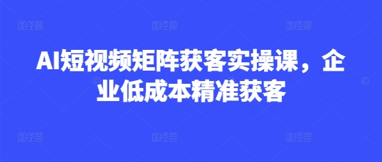 AI短视频矩阵获客实操课，企业低成本精准获客-天时网