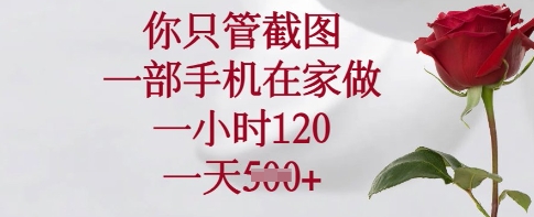你只管截图，一部手机在家做，一小时120.一天5张【揭秘】-天时网