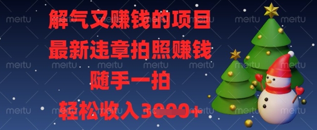 解气又挣钱的项目，最新违章拍照挣钱，随手一拍，轻松收入数张【揭秘】-天时网