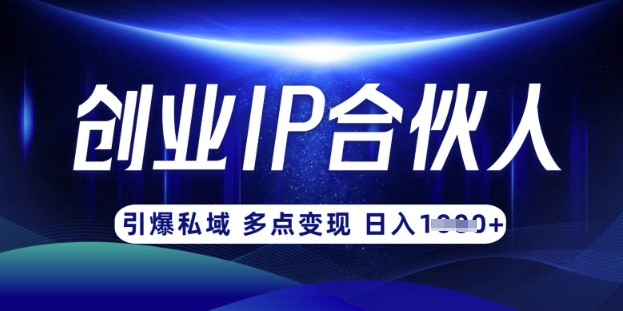 云帆·创业ip合伙人打造3.0，从0到1教你做网创，实现月入过W-天时网