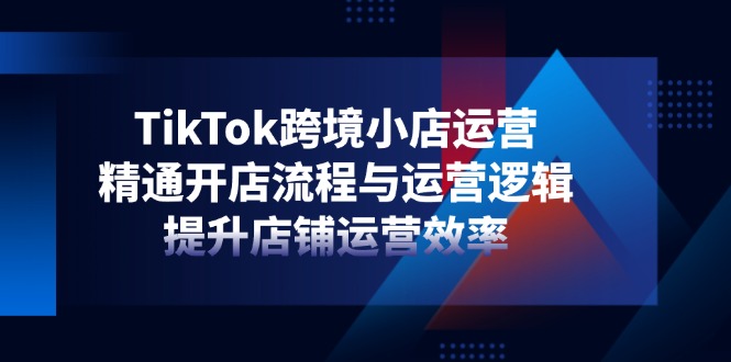 TikTok跨境小店运营，精通开店流程与运营逻辑，提升店铺运营效率-天时网