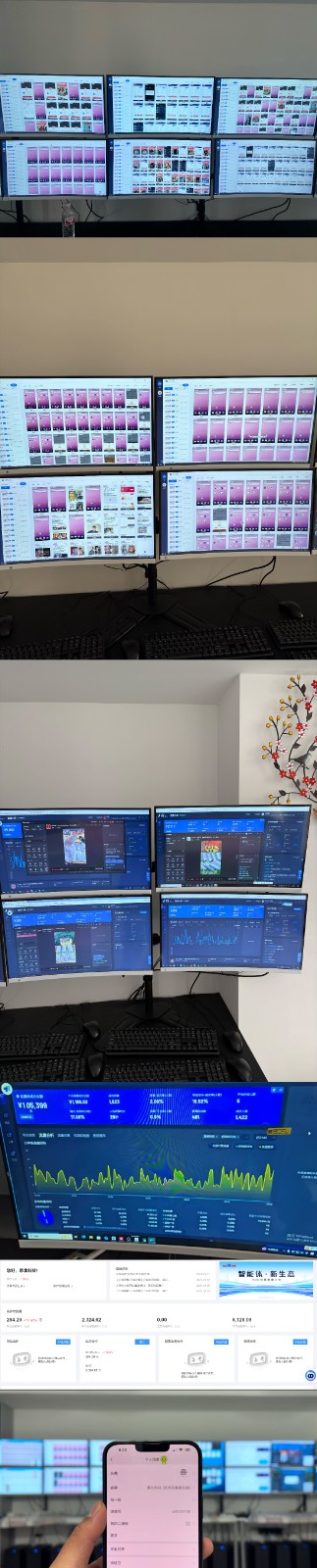 实操项目合集 挂机类型 直播类型 轻资产创业类型 课程分享各项目介绍和原理-天时网