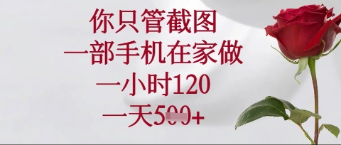 你只管截图，一部手机在家操作，一小时120.一天5张【揭秘】-天时网