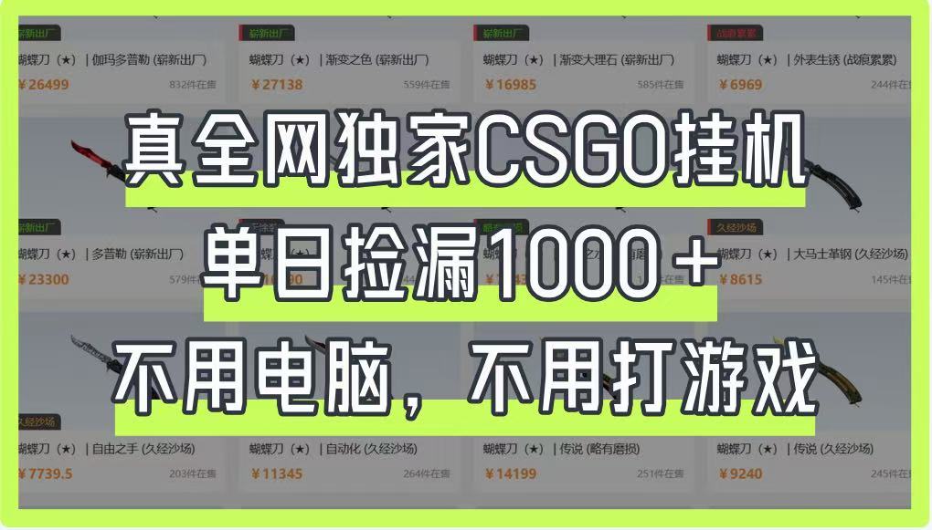 真全网独家CSGO挂机，单日捡漏1000+，不用电脑，不用养号-天时网