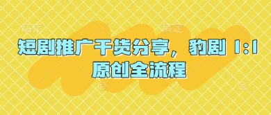 短剧推广干货分享，豹剧 1:1原创全流程-天时网