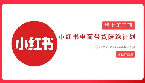 2025小红书虚拟电商实战课，从0到1打造无货源店铺，AI+爆款笔记轻松变现-天时网