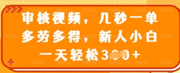审核视频，几秒一单，多劳多得，新人小白一天轻松3张【揭秘】-天时网
