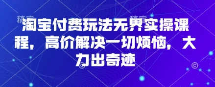 淘宝付费玩法无界实操课程，高价解决一切烦恼，大力出奇迹-天时网