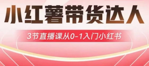 小红薯达人带货启航计划，3节直播课从0-1入门小红书-天时网