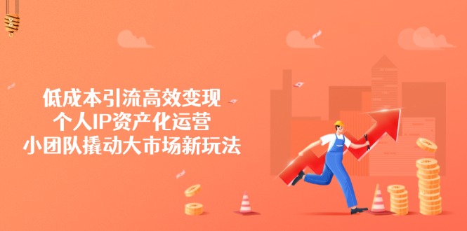 低成本引流高效变现，个人IP资产化运营，小团队撬动大市场新玩法-天时网