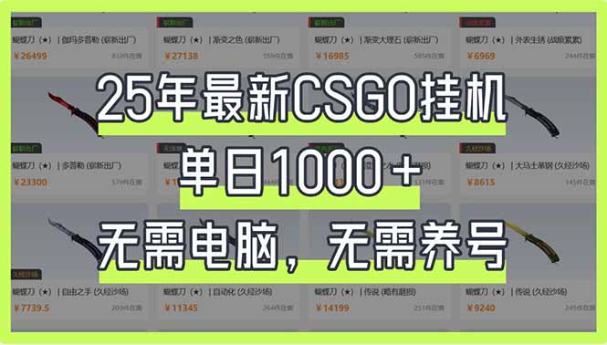 25年最新CSGO挂机系统，单日1000+，无需电脑，无需养号，0基础可上手-天时网