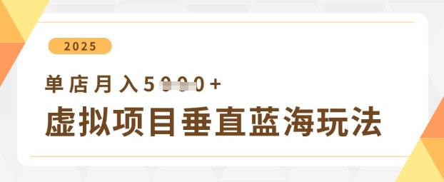 虚拟项目垂直玩法，实现单店月入5k+-天时网