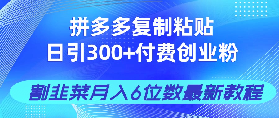 拼多多复制粘贴日引300+付费创业粉，割韭菜月入6位数最新教程！-天时网