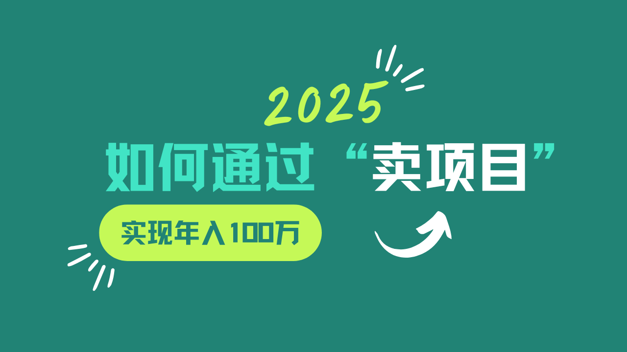 2025年如何通过“卖项目”实现年入100w-天时网