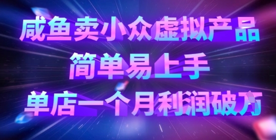咸鱼卖小众虚拟产品，简单易上手，单店一个月利润破W-天时网
