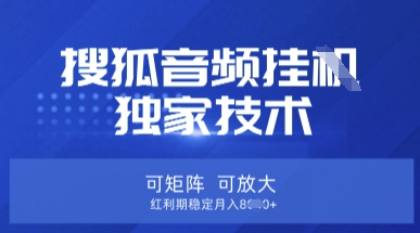 【搜狐音频挂G】独家技术，可矩阵可放大，红利期稳定月入8k【揭秘】-天时网