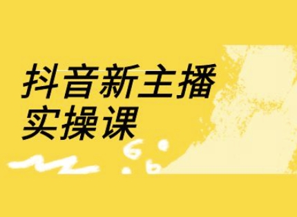 抖音新主播实操课，直播间流量运营线上实操课(18节)-天时网