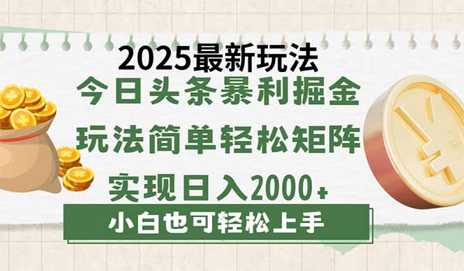 今日头条2025最新玩法，思路简单，复制粘贴，轻松实现矩阵日入2000+-天时网