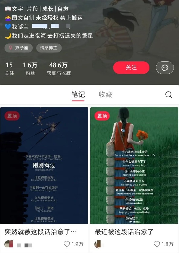 小红书治愈文案图文笔记，零门槛，一分钟制作轻松制作爆款作品月入万元-天时网