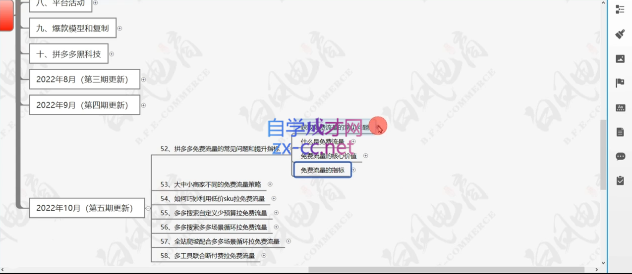 白凤电商·拼多多日销千单训练营(更新3月)-天时网