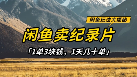 闲鱼卖纪录片1单3块钱，1天几十单，项目稳定有潜力-天时网