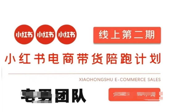 小红书电商带货课2期，月利润20个的小红书电商的有货源，无货源，虚拟产品，付费投流等整套玩法-天时网