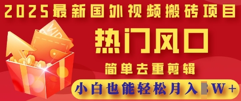 2025最新视频搬砖项目，热门风口，简单去重剪辑，小白也能轻松月入过W-天时网