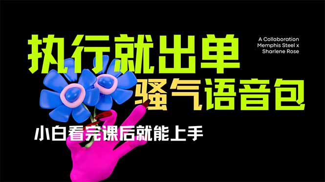 爆火全网的开车导航骚气语音包,只要执行就出单，小白看完课程就能实操…-天时网