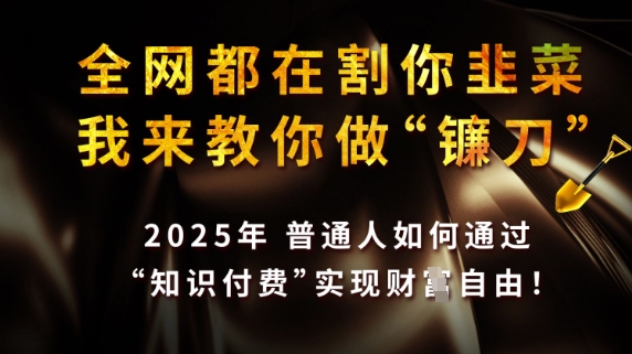 全网都在割你韭菜，我来教你做镰刀，2025普通人如何通过知识付费，实现财F自由【揭秘】-天时网